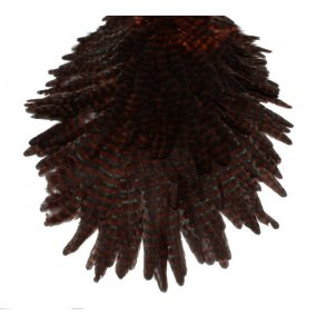 FF Signature Hen Saddle - GR/ Coaschmann Grizzly