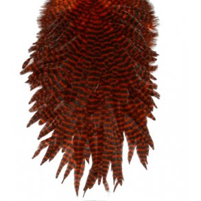 FF Signature Hen Saddle - Orange Grizzly