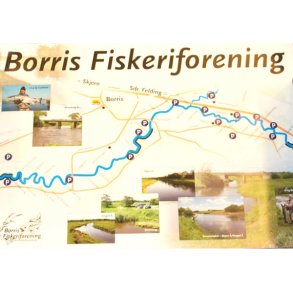 Plakat - Borris Lystfiskerforening