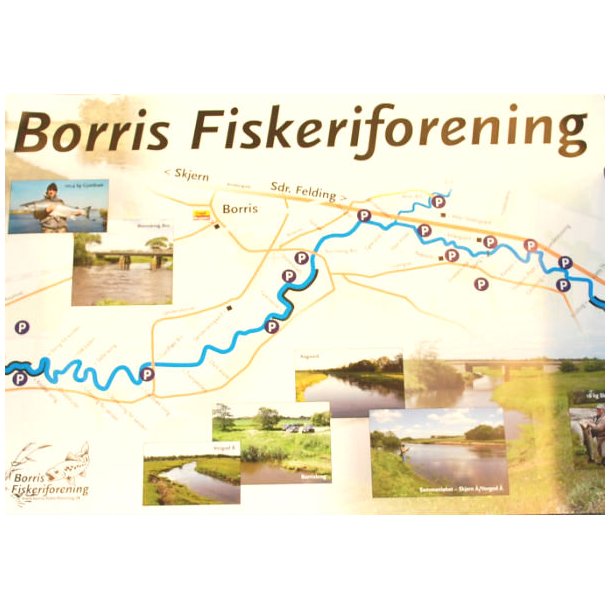 Plakat - Borris Lystfiskerforening